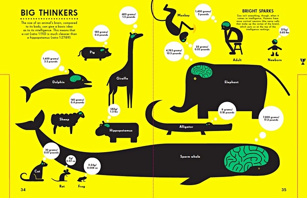 Image That Shows The Infographics Format - Type of Short Comics.